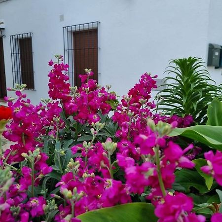 Vila Casa Francisca En El Casco Antiguo Vejer de la Frontera Exteriér fotografie
