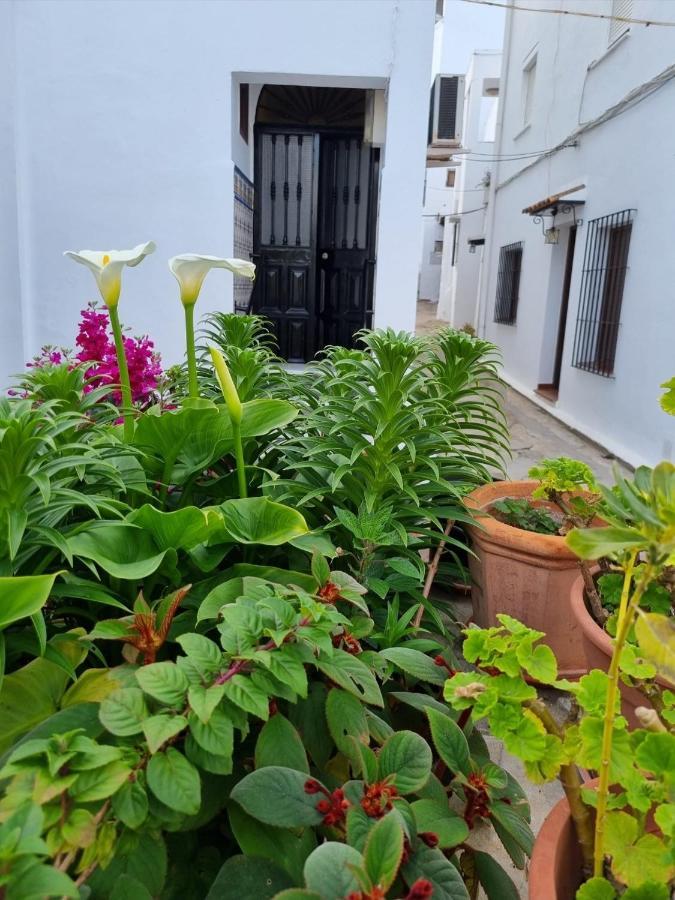Vila Casa Francisca En El Casco Antiguo Vejer de la Frontera Exteriér fotografie