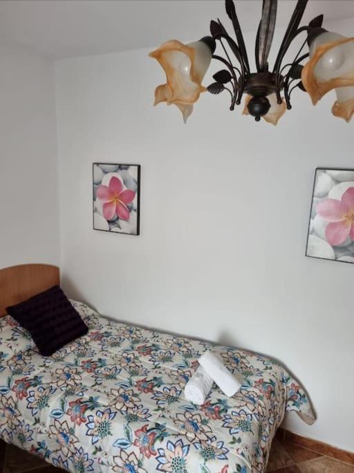 Vila Casa Francisca En El Casco Antiguo Vejer de la Frontera Exteriér fotografie